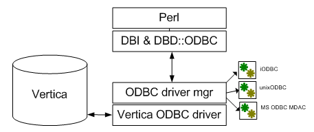 Vertica-Perl architecture
