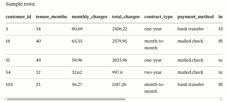 Sample rows from the customer churn dataset